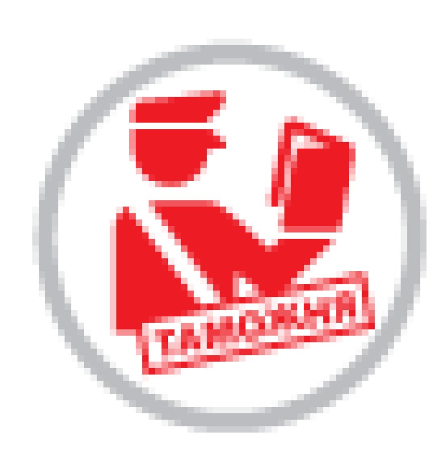 Экспортно-импортные услуги (ВЭД)
