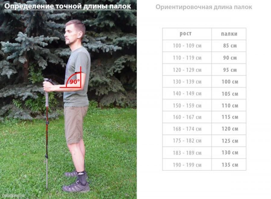 Скакалка по росту таблица
