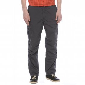 Изображение Брюки мужские Regatta Mens Delph Trs (серый)