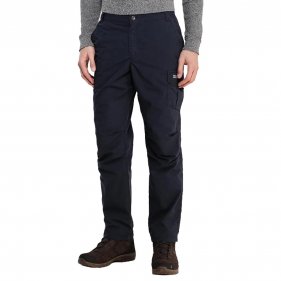 Изображение Брюки мужские Regatta Lined Delph Trs (синий)