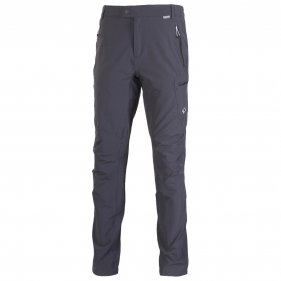 Изображение Regatta брюки мужские Highton Trs (серый)