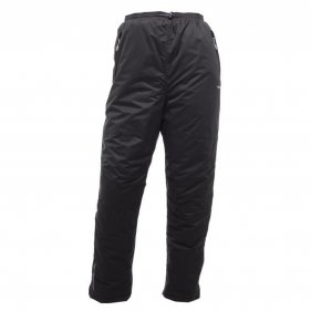 Изображение Непромокаемые брюки мужские Regatta Padded Chandler (чёрный)