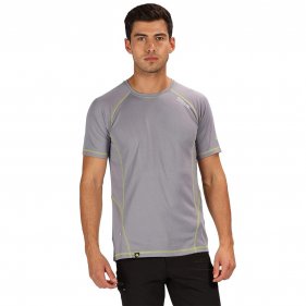 Изображение Regatta футболка мужская Virda ll (серый)