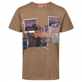 Изображение Regatta футболка мужская Cline lll (песочный)