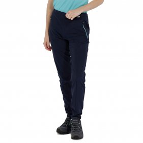 Изображение Regatta брюки женские Pentre Strtch Trs (синий)