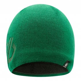 Изображение Dare2b шапка мужская Rethink Beanie (зелёный)