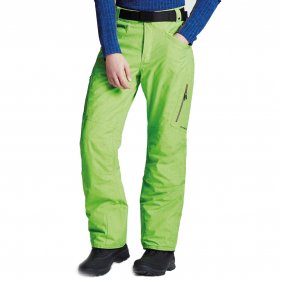 Изображение Dare2b брюки горнолыжные Certify Pnt (светло-зеленый)
