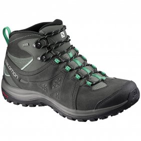 Изображение Salomon Ботинки ELLIPSE 2 MID LTR GTX W