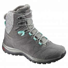 Изображение Salomon ботинки жен. ELLIPSE WINTER GTX