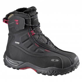 Изображение Salomon ботинки B52 TS W GTX