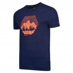 Изображение Dare2b футболка мужская Transferal Tee (синий)