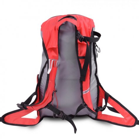 Спортивный рюкзак Bask Ski Alp Carrier 25 23054 (красный/серый)