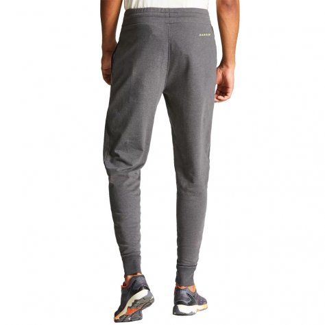 Спортивные брюки мужские Dare2b Affection ll (тёмно-серый)