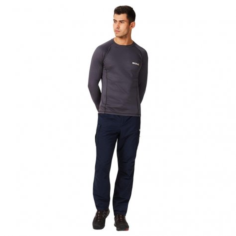 Брюки мужские Regatta Mens Delph Trs (синий)