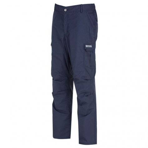 Брюки мужские Regatta Mens Delph Trs (синий)