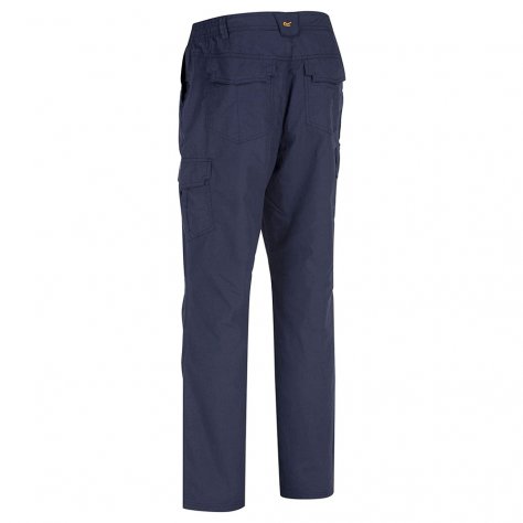 Брюки мужские Regatta Mens Delph Trs (синий)
