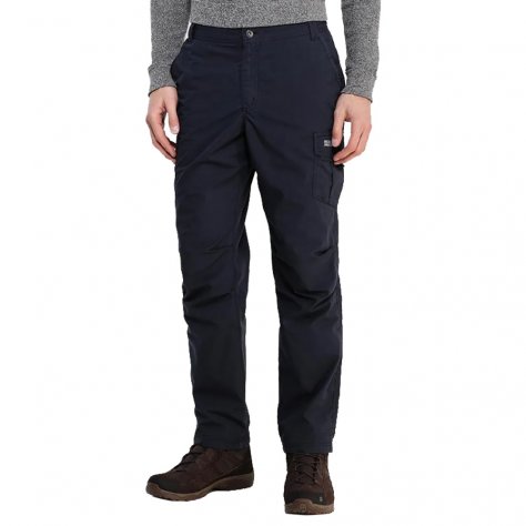 Брюки мужские Regatta Lined Delph Trs (синий)