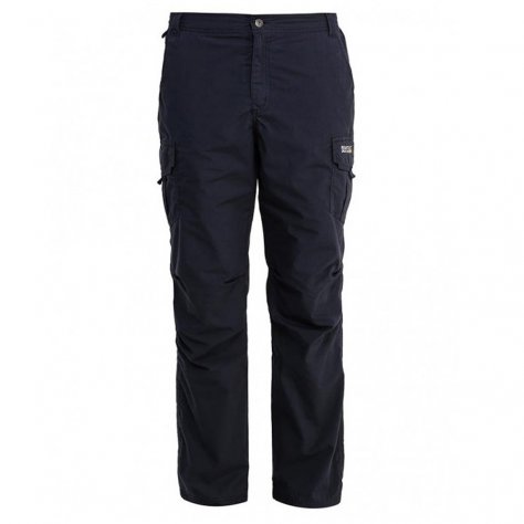 Брюки мужские Regatta Lined Delph Trs (синий)