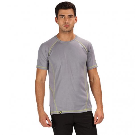 Regatta футболка мужская Virda ll (серый)