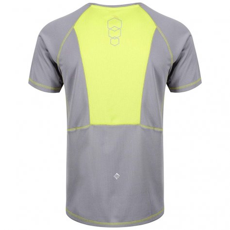 Regatta футболка мужская Virda ll (серый)