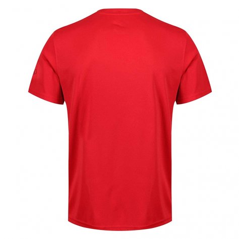 Regatta футболка мужская Fingal lV (красный)