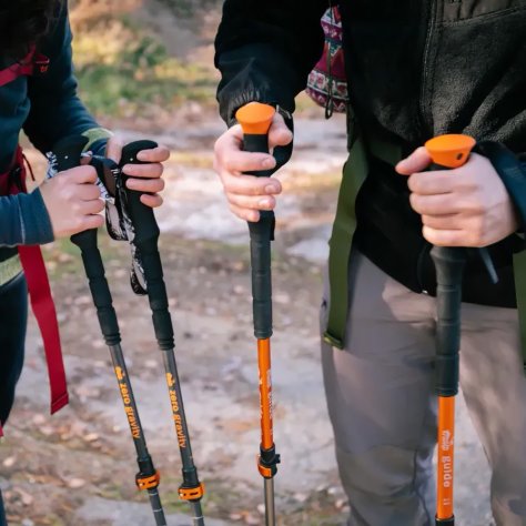 Tramp палки треккинговые Guide TRR-014
