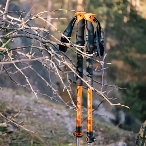 Tramp палки треккинговые Guide TRR-014