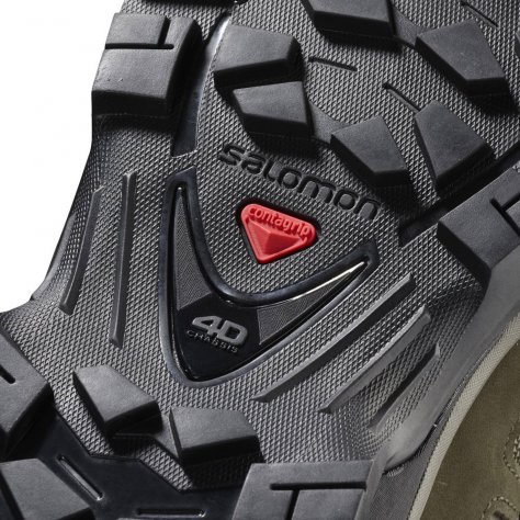 Ботинки мужские Salomon Quest 4D 3 GTX